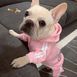 Костюм для домашніх тварин, одяг для собак та котів, зимовий костюм Adidog з капюшоном для вихованця, рожевий XL 6433224121 фото 1